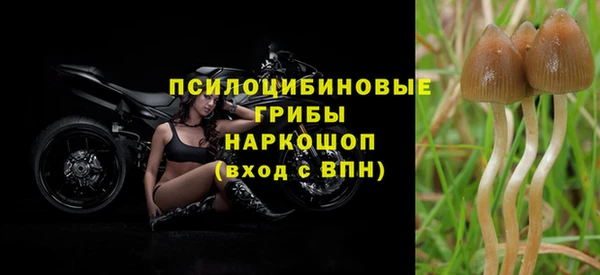 скорость mdpv Алзамай