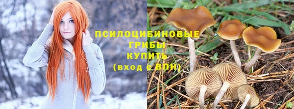 марихуана Алексеевка