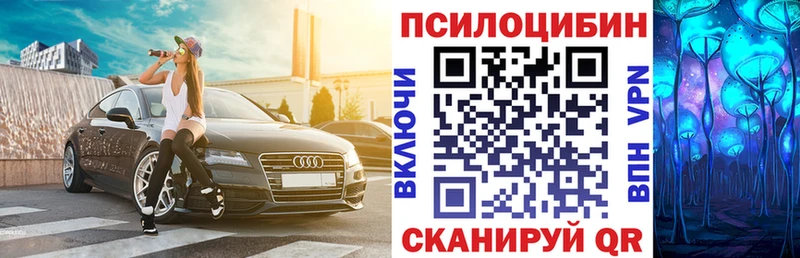 нарко площадка формула  Пустошка  Галлюциногенные грибы GOLDEN TEACHER 